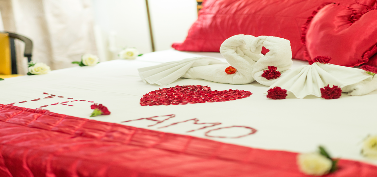 Estandar Suite Decorada